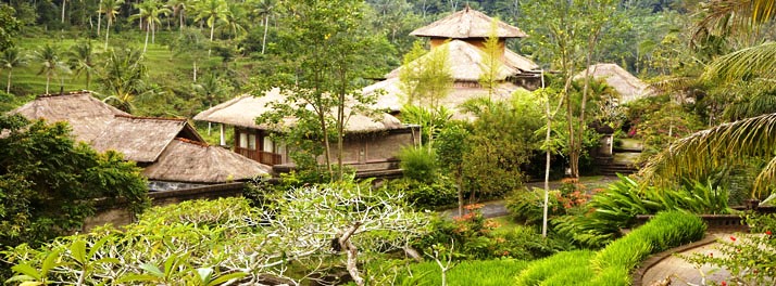 1077/The Payogan Villa Resort & Spa - Ubud 11.jpg